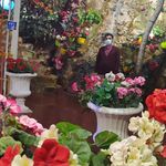 Profile Picture of narmin2020 ShAhin (@gorbanpur1) on Instagram