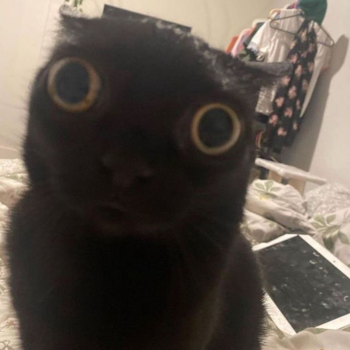 Profile Picture of Brynn Dufrene (@@brynndufrene) on Tiktok