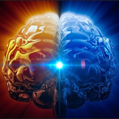 Profile Picture of Alex Galler (@AlexGaller2) on Twitter