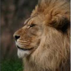 Profile Picture of Enric Martinez (@HerbMan78) on Twitter