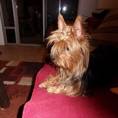Profile Picture of Ruby Colwell (@RubyCo3) on Twitter