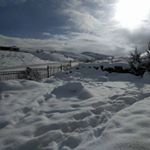 Profile Picture of Lisa Starns (@thestarns4) on Instagram