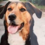 Martin Humphries - Instagram Profile Picture of Martin Humphries (@martinyogi5) on Instagram