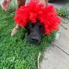 Profile Picture of Claire Newton (@@claire_newton) on Tiktok