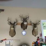 Profile Picture of Tim Winchester (@timwinchester20) on Instagram