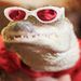 Profile Picture of Matthew Morneault (@mmorneault2027) on Pinterest