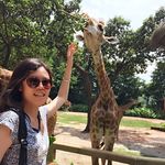 Profile Picture of Shelly Zhao (@shelly3333333) on Instagram