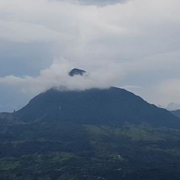 Profile Picture of Paula A Garzón O (@Paulygob) on Twitter