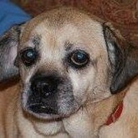 Profile Picture of Myra Walters (@myra-walters-1) on Quora