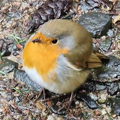 Profile Picture of paulamoncrieff (@paulamoncrieff) on Tiktok