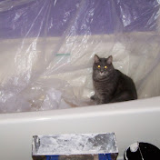 Profile Picture of Jerry Weber (@jerryweber1768) on Youtube