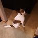 Profile Picture of Maxx Wiley (@maxx.wiley.31) on Facebook