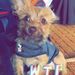 Profile Picture of Oliver Hebert (@hebert6366) on Pinterest