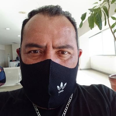 Profile Picture of Carlos Licea (@carloslicea7591) on Twitter