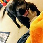 paulpoffenbarger - Instagram Profile Picture of paulpoffenbarger (@paul_poffenbarger) on Instagram