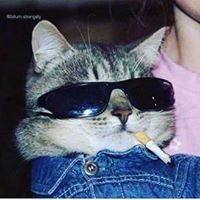 Profile Picture of Alex Swartz (@alex-swartz-3) on Quora