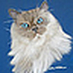 HeatherFineArt - Flickr Profile Picture of HeatherFineArt (@HeatherFineArt) on Flickr