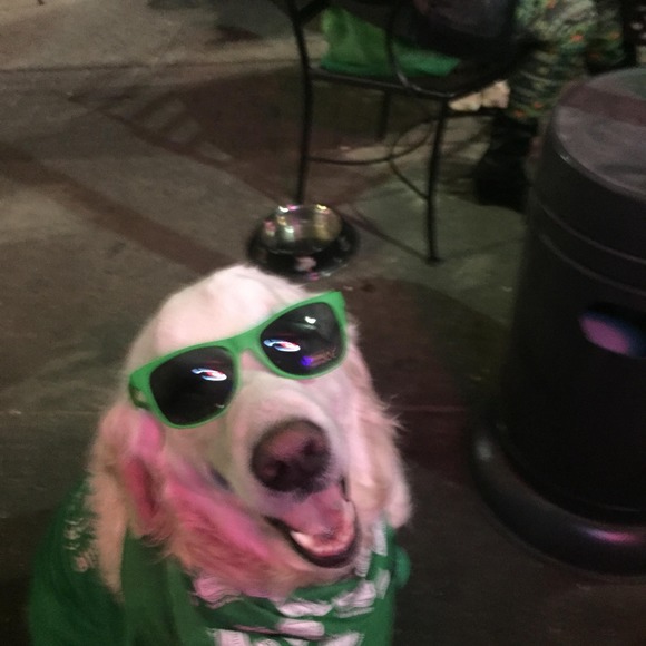 Profile Picture of Jake Gunn (@jakegunn) on Poshmark