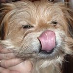 Profile Picture of Тамара Ткаченко (@tamara_tkachenko13) on Instagram