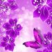 Profile Picture of Paula Dufour (@purplep72) on Pinterest