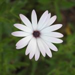 Profile Picture of Carly Morgan (@carlymorganphotography) on Instagram