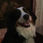 Profile Picture of Samantha Regan (@samantha.regan.12) on Instagram