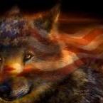 Profile Picture of Jeanne Heling (@nov81997) on Pinterest