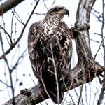 Profile Picture of Greg Bernard (@gmbexposures) on Instagram