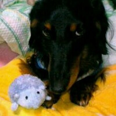 Profile Picture of けんちゃん (@ken_ken_oken) on Twitter