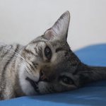 Profile Picture of Gabriel  Quintanilla (@gabrielq.lopez) on Flickr