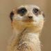 Profile Picture of Pamela Preece (@pamela.preece.5) on Facebook