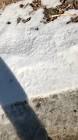 Profile Picture of   daymon carlyle... (@dayday187u) on Tiktok