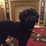 Profile Picture of Nigel Read (@nigel.read.18847) on Instagram