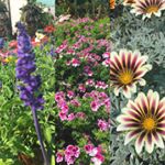 Lorena - Instagram Profile Picture of Lorena (@lorena_ng28) on Instagram