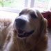 Profile Picture of Colin Teale (@Colin-Teale) on Facebook