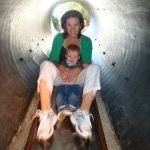Profile Picture of Marci Wright Ault (@mault0824) on Pinterest