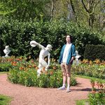 Profile Picture of Scott Caulfield (@scottcaulfield1) on Instagram