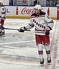 Profile Picture of Mika Zibanejadon Wikipedia