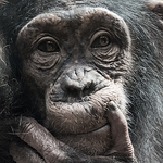 Profile Picture of Weaver Steve (@steve.weaver45) on Flickr