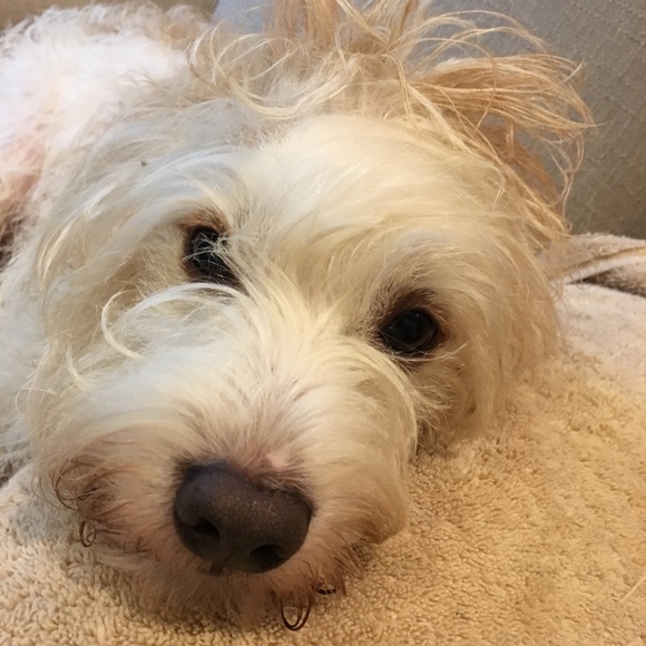 Profile Picture of Wanda Whitfield (@kyliemae57) on Poshmark