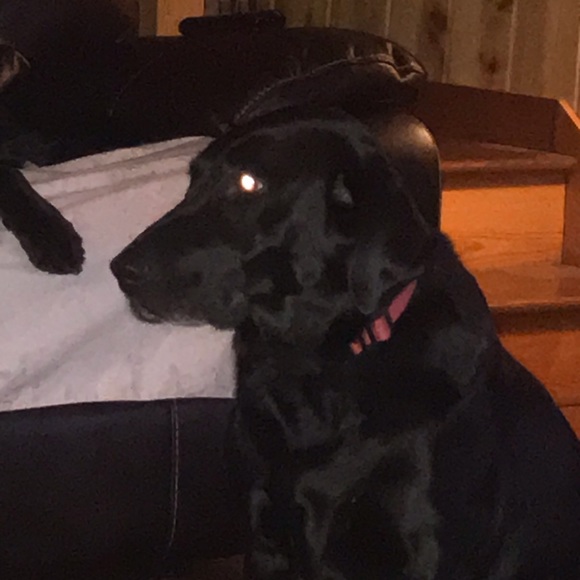 Brady Raether - Poshmark Profile Picture of Brady Raether (@brather1) on Poshmark