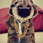 Profile Picture of   Jacob Hyman (@jacobhyman)... (@jacobhyman) on Tiktok