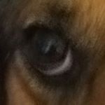 Profile Picture of Alex Pringle (@pringle8873) on Instagram