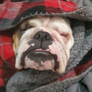 Profile Picture of Kevin Savard (@KevinSavard6) on Twitter