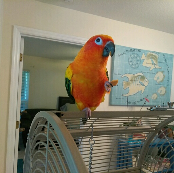 Profile Picture of Gloria Lippens (@shoppersheaven) on Poshmark