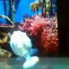 Profile Picture of adamup67 (@adampogue277) on Tiktok
