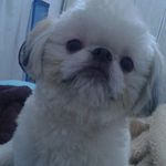 Profile Picture of Alvin (@alvinsimonini) on Instagram