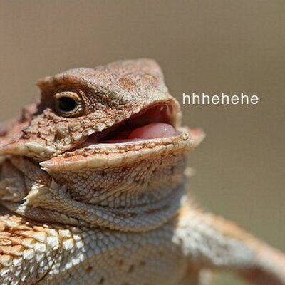 Profile Picture of Matt Schild (@SchildMatt) on Twitter