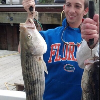 Profile Picture of Andrew Milman (@andrew_milman) on Twitter