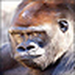 Profile Picture of Biged46us (@biged46us) on Flickr